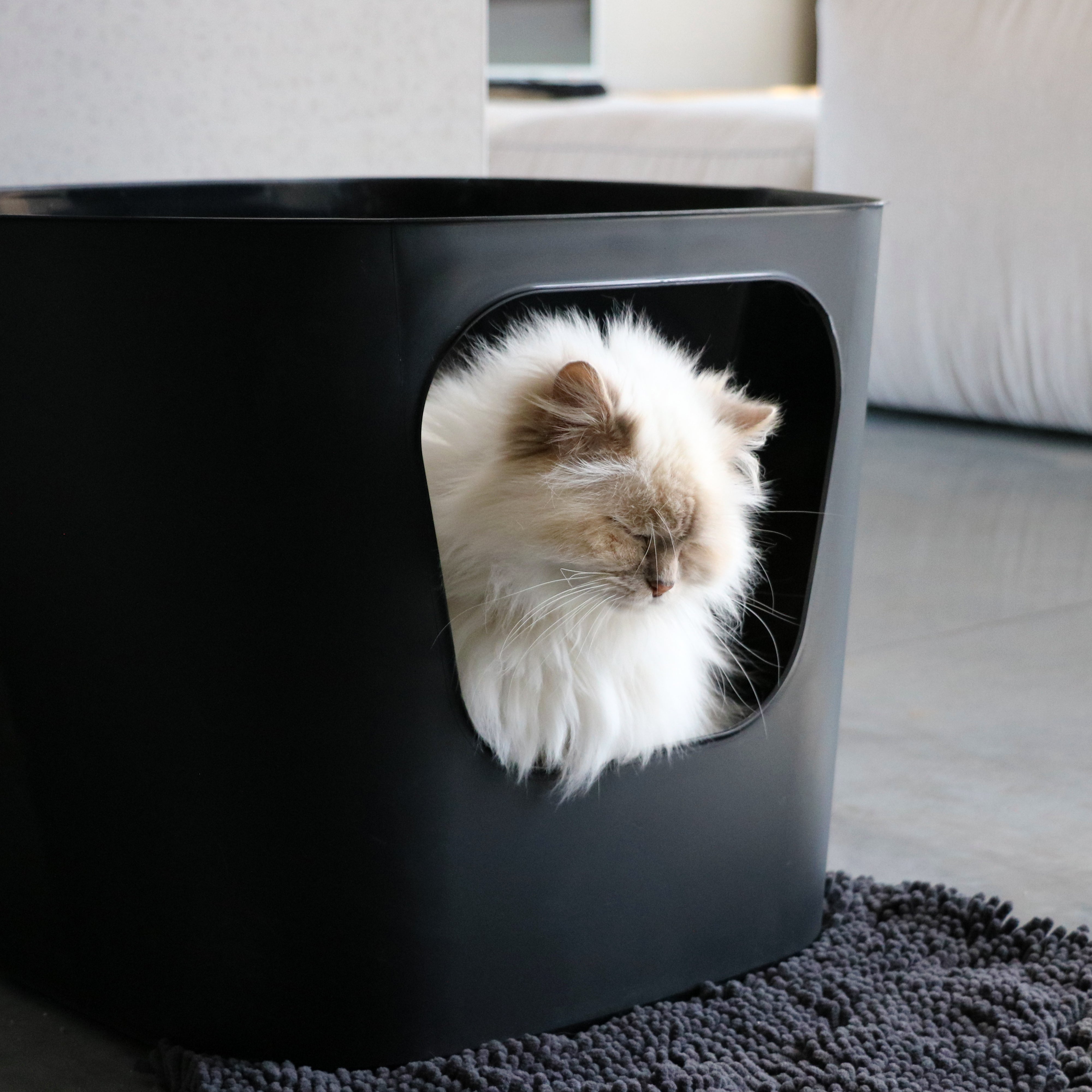 DEAN Open cat litter box