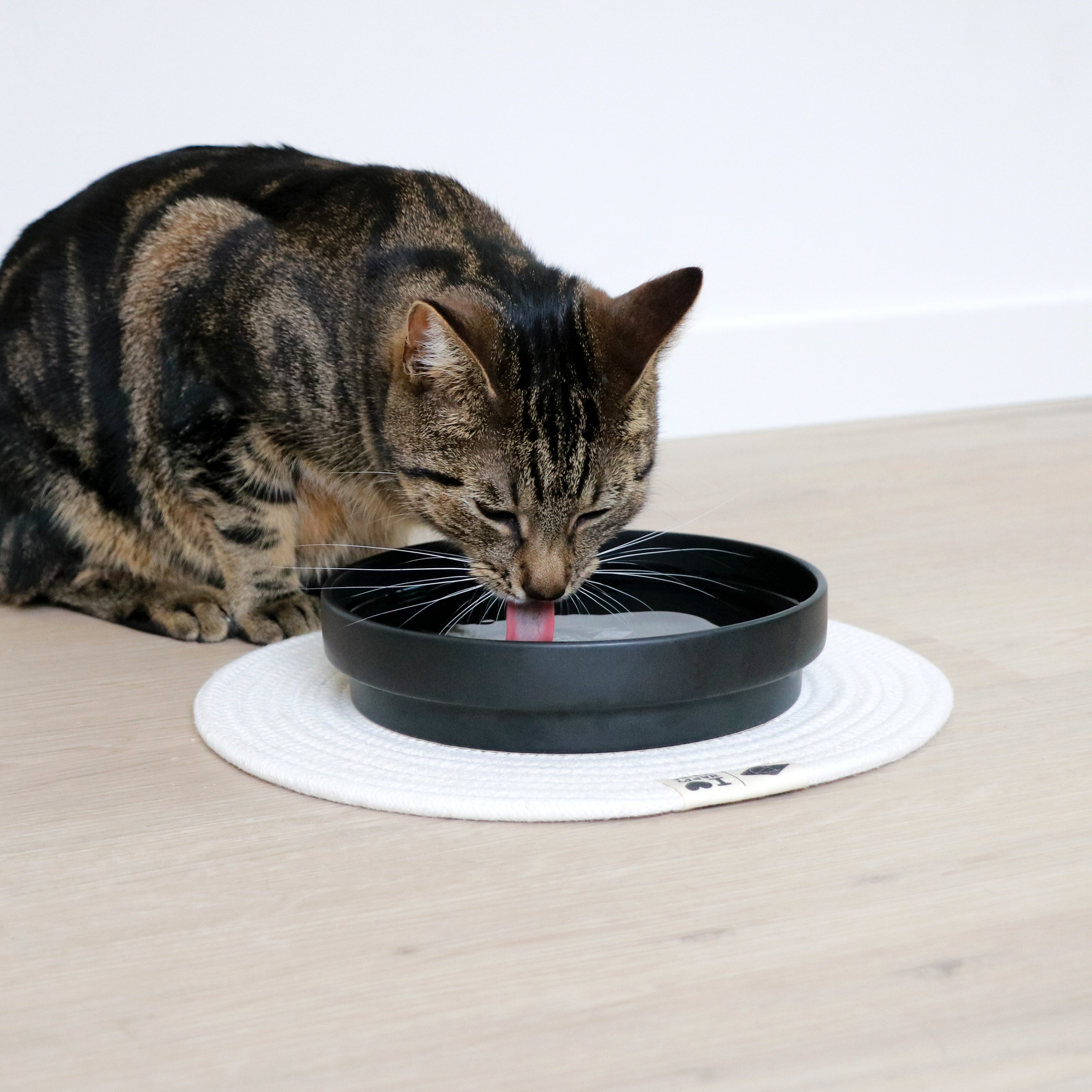 ACE Drinking Bowl
