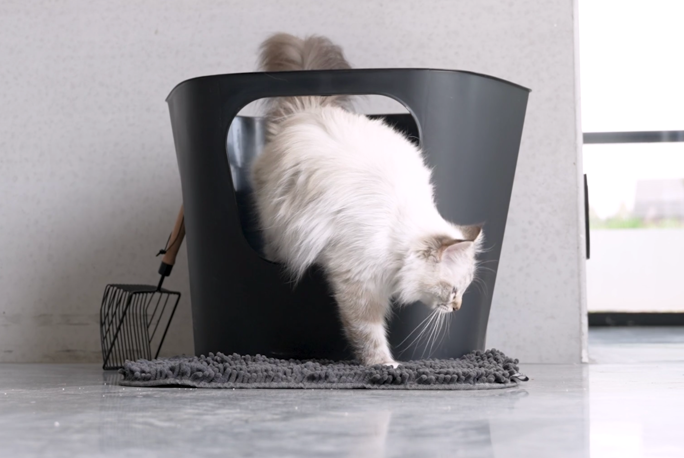 DEAN Open cat litter box