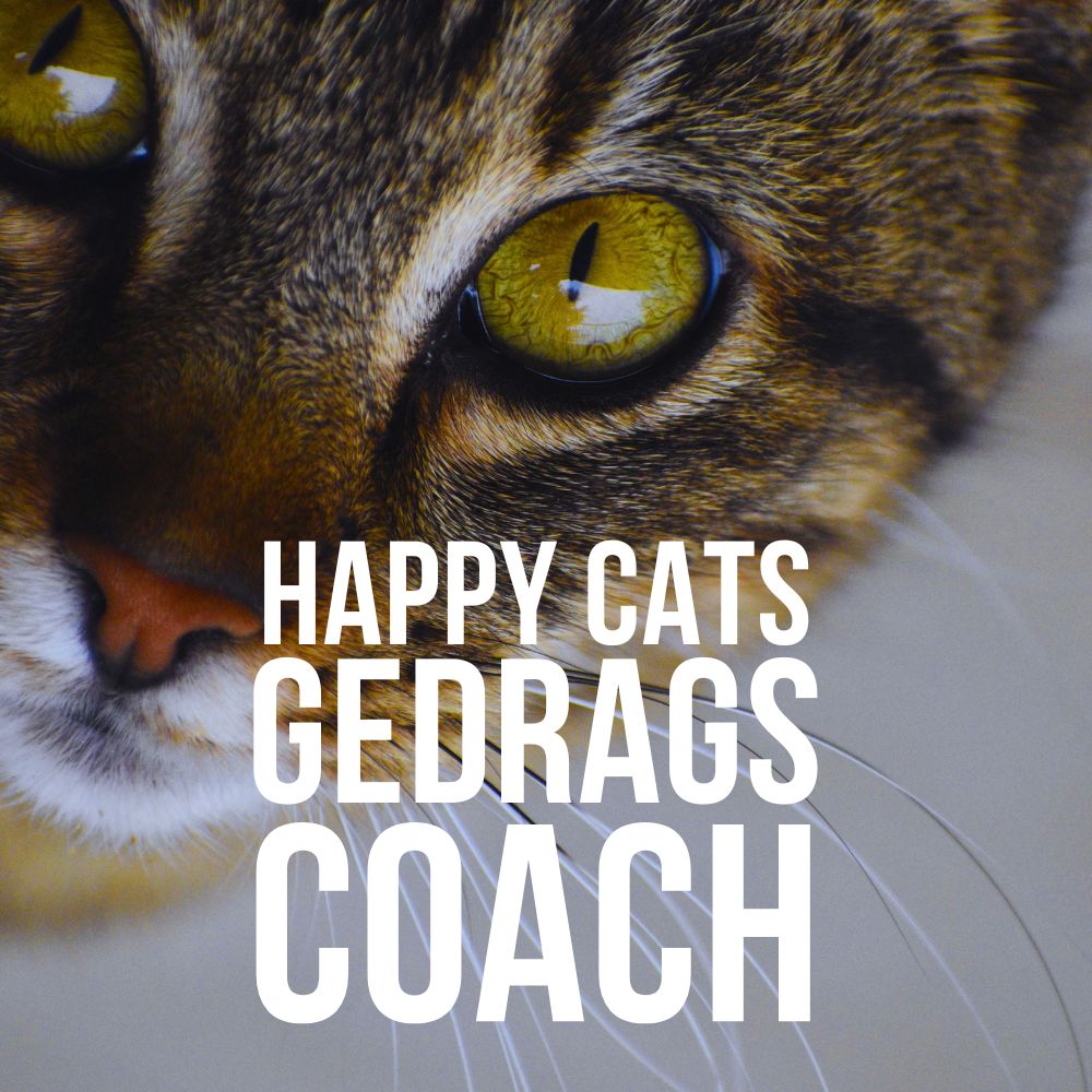 Happy Cats Gedragscoach 2027 (vroegboekprijs)
