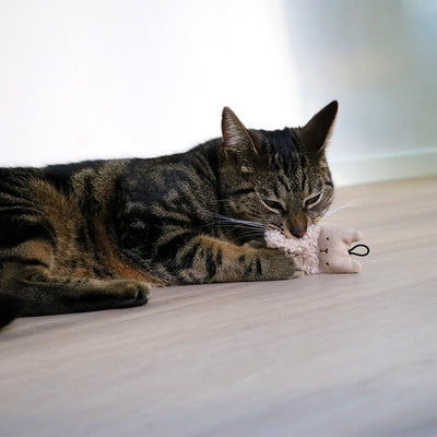 ALFIE Kattenspeeltjes