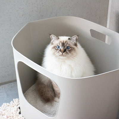 DEAN - Kattenbak
