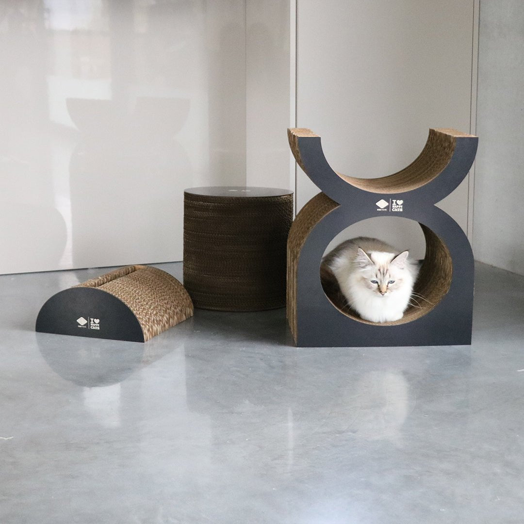 FAYE - Krablounge