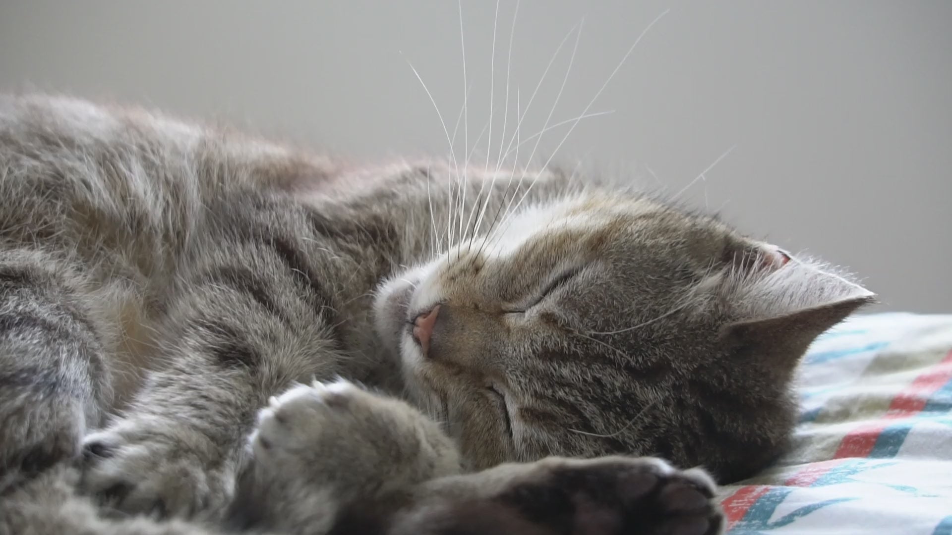 Video laden: 