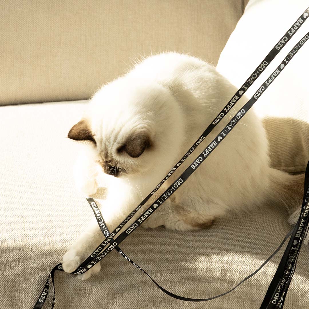 CLAIRE - Speelhengel